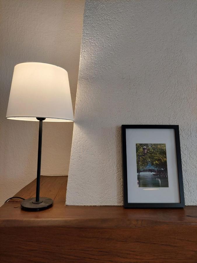 Le Vintage - Appartement En Plein Coeur De La Vieille Ville Annecy Dış mekan fotoğraf